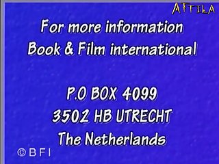 Million Dollar Dog 011