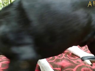 Filling Her To The Brim With Cumbut Afterwardsshe Gets To Fuck A Lot Of The Masters