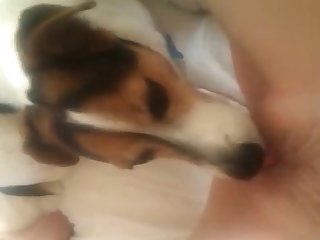 Oh Putain J'ai Expiré Alors Que Mes Lèvres Touchaient Le Bout De Sa Bite