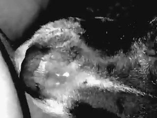 Oh Putain Ouais Je Jouis