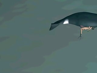 La Tête De La Bite Du Cheval Était Massive