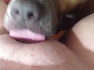 Choisissant Soit Mon Cul Soit Ma Chatte À Baiser