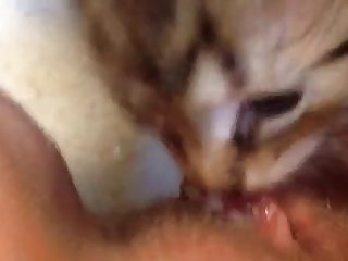 تأكدت من وضع مهبلها المبيض بجوا أنفه مباش ة بينما ت كت سائله المنوي يجف على بش تها البيضاء الحليبية